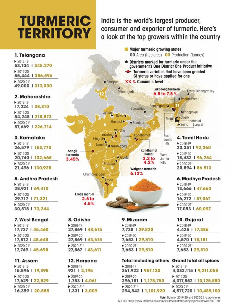 Turmeric Cultivation in India Civilsdaily