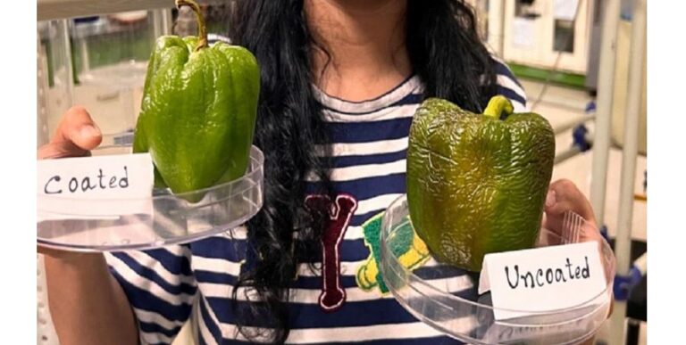 edible-coating-to-prolong-shelf-life-of-fruits-vegetables