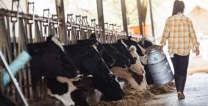 [Burning Issue] India’s Dairy Sector: Significance, Challenges and Way ...