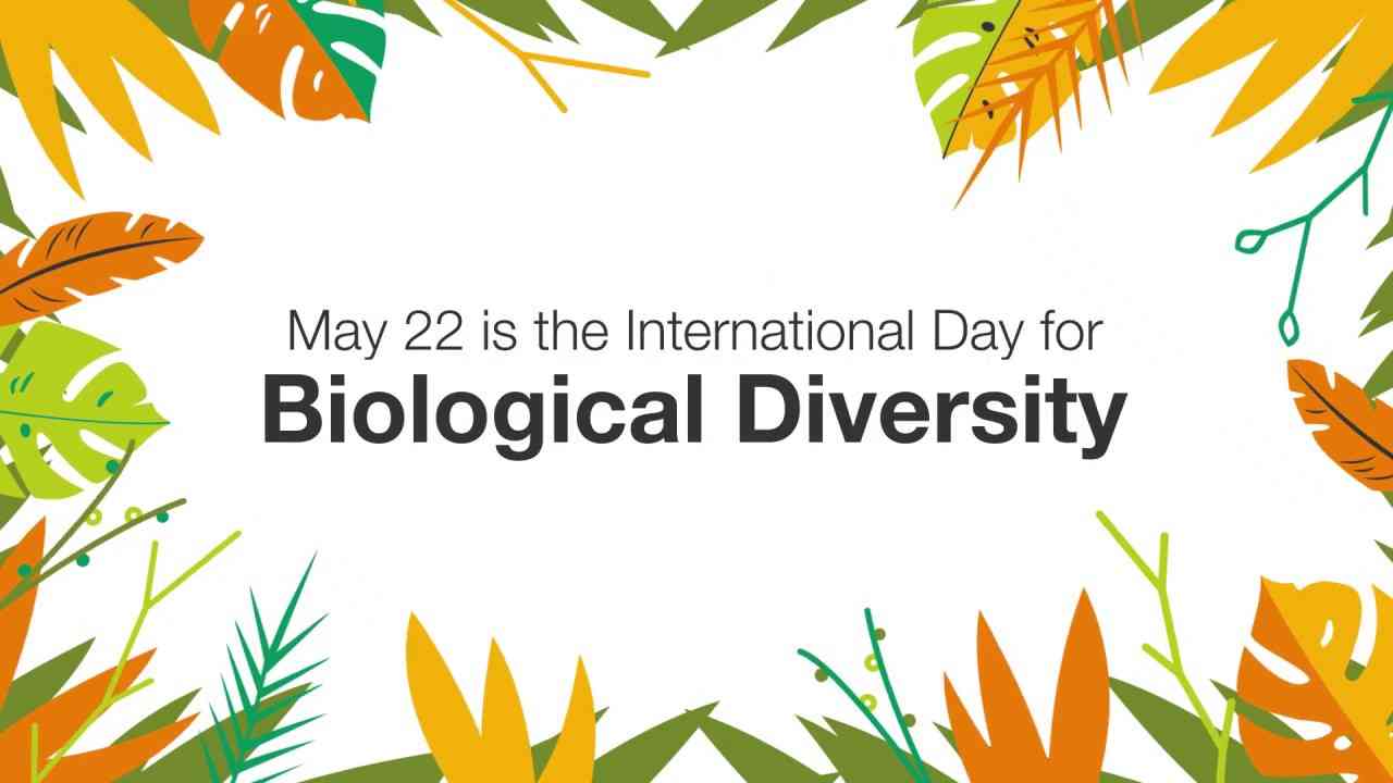 Mainstreaming Biodiversity: A Pivotal Step Towards a Sustainable Future ...