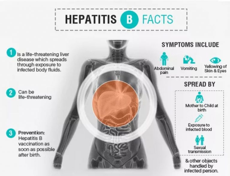Hepatitis B: Everything you need to know - Civilsdaily