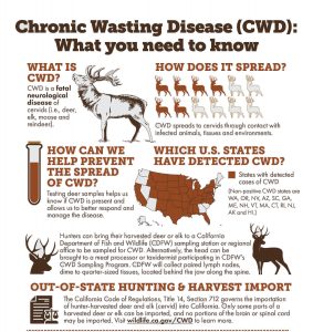 What is Chronic Wasting Disease (CWD)? – Civilsdaily