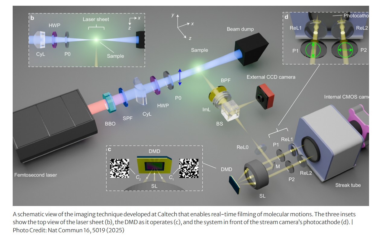 Novel Microscope observes Molecular Motion