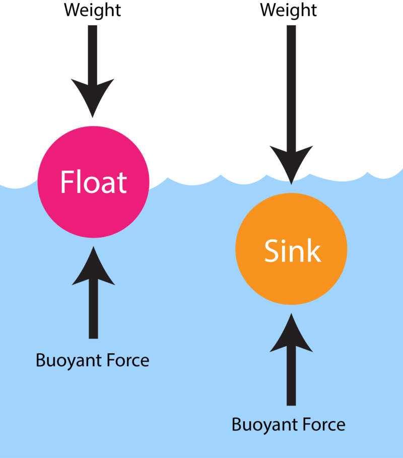 Does Rain make Ocean Water more Buoyant?