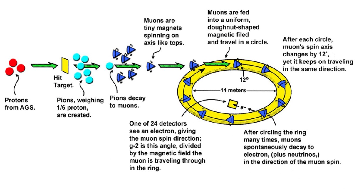 Muon g-2 Experiment