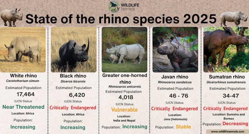 Rhisotope Project