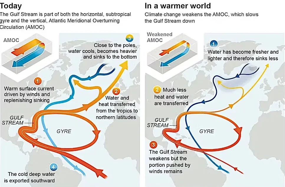 Collapse of Atlantic Meridional Overturning Circulation (AMOC)