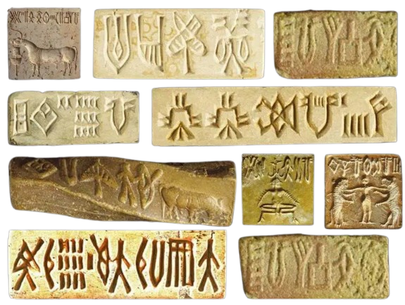 What was the Harappan Language?