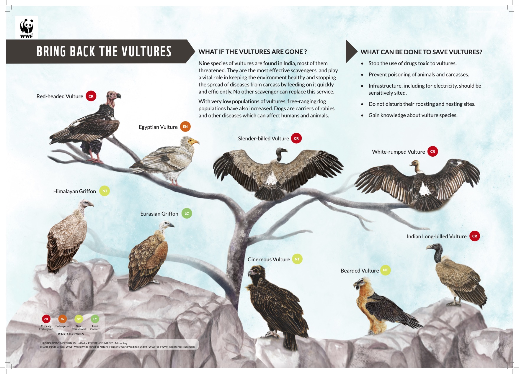 Vultures and Pandemic Prevention