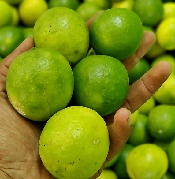 [pib] GI Tagged Indi and Puliyankudi Limes 